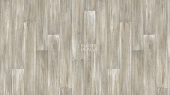 Линолеум Tarkett Club KEVIN 1 фото 1 | FLOORDEALER