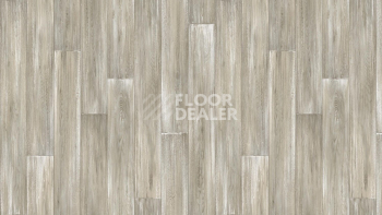 Линолеум Tarkett Club KEVIN 1 фото 1 | FLOORDEALER