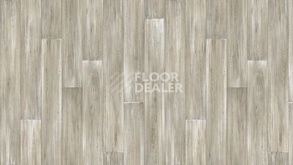 Линолеум Tarkett Club KEVIN 1 фото 1 | FLOORDEALER
