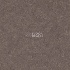 Линолеум Gerflor Marmorette DLW  2mm 0089 Peacan Pie фото 1 | FLOORDEALER