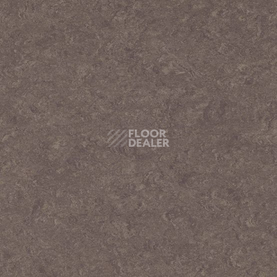 Линолеум Marmorette DLW  2mm 0089 Peacan Pie фото 1 | FLOORDEALER