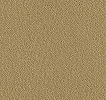 Ковровая плитка Westbond Ibond Natural 9219 фото 1 | FLOORDEALER