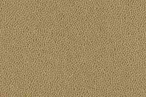 Ковровая плитка Westbond Ibond Natural 9219 фото  | FLOORDEALER