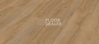 Ламинат Kronotex Robusto 12мм d4955 Дуб Натуральный Премиум фото 1 | FLOORDEALER