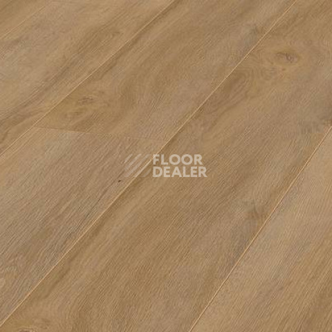 Ламинат Kronotex Robusto 12мм d4955 Дуб Натуральный Премиум фото 1 | FLOORDEALER