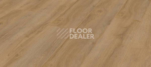 Ламинат Kronotex Robusto 12мм d4955 Дуб Натуральный Премиум фото 1 | FLOORDEALER