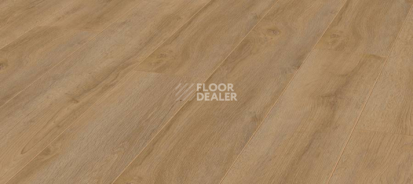 Ламинат Kronotex Robusto 12мм d4955 Дуб Натуральный Премиум фото 1 | FLOORDEALER