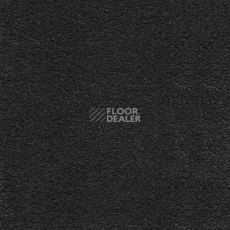 Ковролин AW Sirene 98 фото 1 | FLOORDEALER