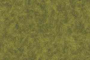 Ковролин Flotex by Starck Vortex 301012 Chartreuse ab фото  | FLOORDEALER