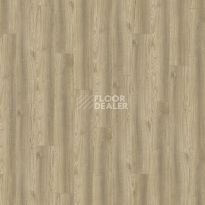Ламинат Kronotex Robusto 12мм d4611 Дуб Порт Медиум фото 4 | FLOORDEALER