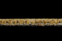 Desso Essence Pure ad 07 6112 фото 3 | FLOORDEALER