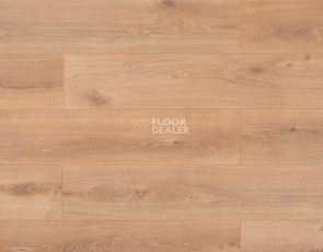 Ламинат Rooms Loft 10мм R1019A Дуб Кашмир фото 1 | FLOORDEALER