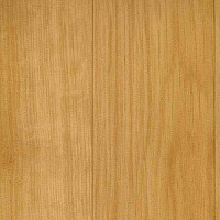 Линолеум Grabo Sport Elite 2519_371_279 фото 1 | FLOORDEALER