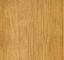 Линолеум Grabo Sport Elite 2519_371_279 фото 1 | FLOORDEALER