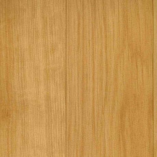 Линолеум Grabo Sport Elite 2519_371_279 фото 1 | FLOORDEALER