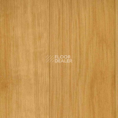 Линолеум Grabo Sport Elite 2519_371_279 фото 1 | FLOORDEALER