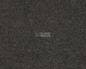 Ковролин Lano Boheme 810 Charcoal фото 1 | FLOORDEALER