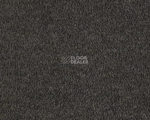 Ковролин Lano Boheme 810 Charcoal фото 1 | FLOORDEALER