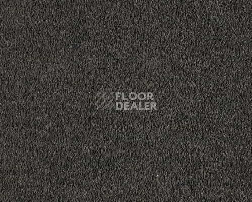 Ковролин Lano Boheme 810 Charcoal фото 1 | FLOORDEALER