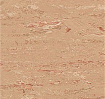 Линолеум Polyflor 2000 Pur 8850 фото 1 | FLOORDEALER