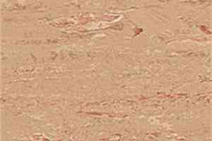 Линолеум Polyflor 2000 Pur 8850 фото  | FLOORDEALER