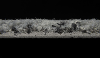 ColorKey ColorKey b 01 фото 3 | FLOORDEALER