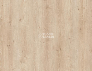 Ламинат My Step Arto 10мм Дуб Дамиан D50117 фото 1 | FLOORDEALER