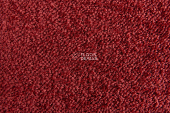 Lano Sense Pure 446 фото 3 | FLOORDEALER