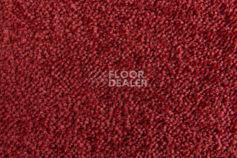 Lano Sense Pure 446 фото 3 | FLOORDEALER