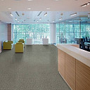 Ковровая плитка Modulyss Xtra Perpetual Xtra Perpetual  | FLOORDEALER