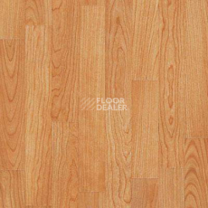 Линолеум Lg Naturelife NLE 5301 фото 1 | FLOORDEALER