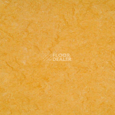 Линолеум Gerflor Marmorette PUR 125-072 фото 1 | FLOORDEALER
