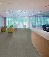 Modulyss Xtra Perpetual Xtra Perpetual фото 1 | FLOORDEALER