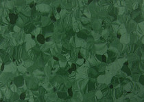 Tarkett Primo Plus 312 фото 2 | FLOORDEALER