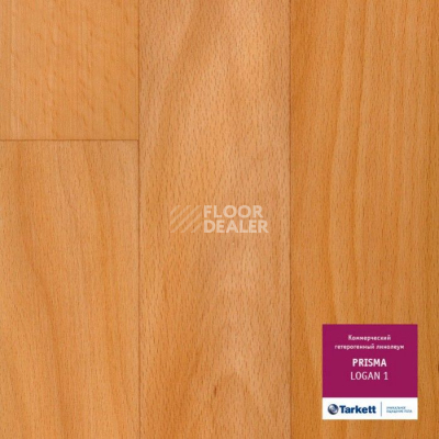 Линолеум Tarkett Prisma LOGAN 1 фото 1 | FLOORDEALER