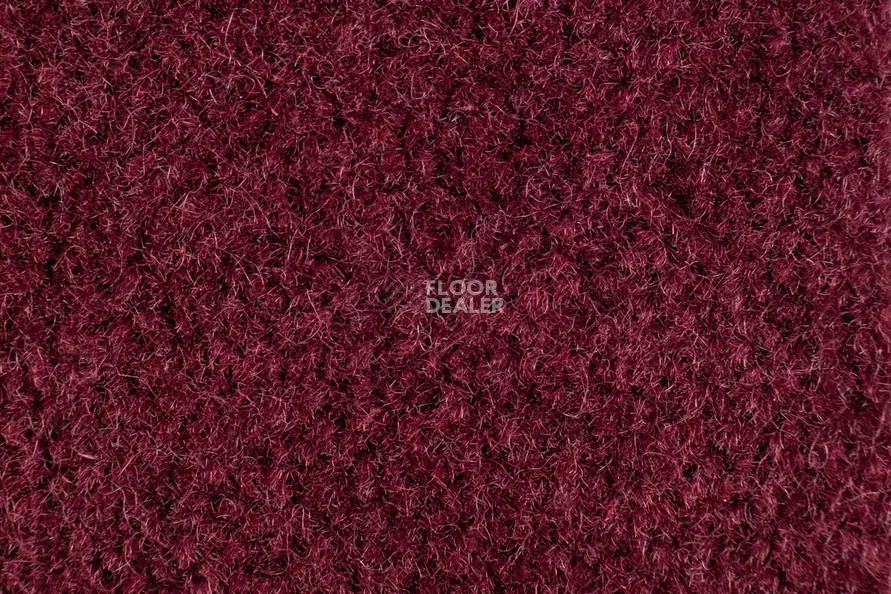 Balsan Majestic 599 фото 2 | FLOORDEALER