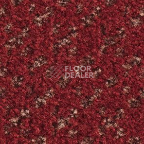 Ковролин Balsan Lounge Lounge 570 фото 1 | FLOORDEALER