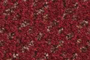 Ковролин Balsan Lounge Lounge 570 фото  | FLOORDEALER