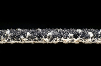 AW Magma 99 фото 4 | FLOORDEALER