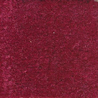 Ковролин Emphatic Beaulieu of America 56843 фото 1 | FLOORDEALER