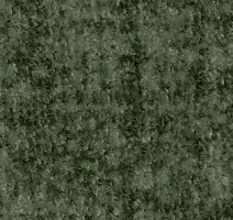 Ковролин AW Beau Rivage 24 фото 1 | FLOORDEALER