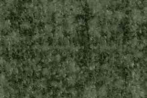 Ковролин AW Beau Rivage 24 фото  | FLOORDEALER