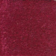 Ковролин Emphatic Beaulieu of America 56843 фото 1 | FLOORDEALER