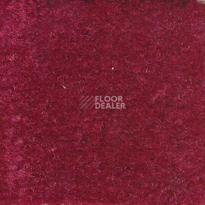 Ковролин Emphatic Beaulieu of America 56843 фото 1 | FLOORDEALER