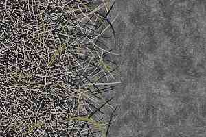 Ковролин Flotex by Starck Vortex 314005 Vortex Chartreuse a4 фото  | FLOORDEALER