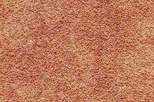 Ковролин ITC Capriolo Capriolo 56 фото  | FLOORDEALER