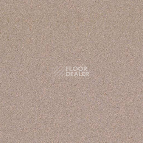 Линолеум Forbo Marmoleum Bulletin Board 2187 brown rice фото 1 | FLOORDEALER