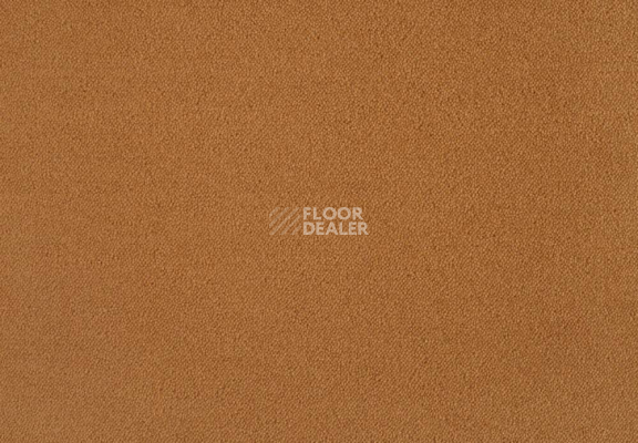 Ковролин Lano Zen 321 фото 1 | FLOORDEALER