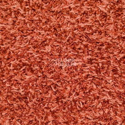 Ковролин Enigma Associated 88 фото 1 | FLOORDEALER