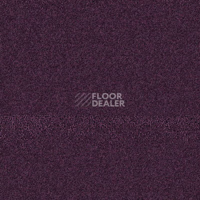 Ковролин Balsan Tanzanie 891 фото 1 | FLOORDEALER